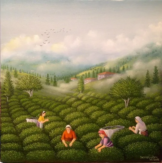 Tea field