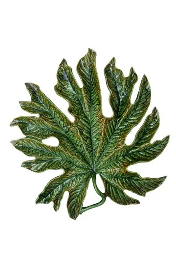Chestnut leaf