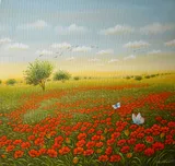 Poppies