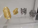 Anéis em fili...