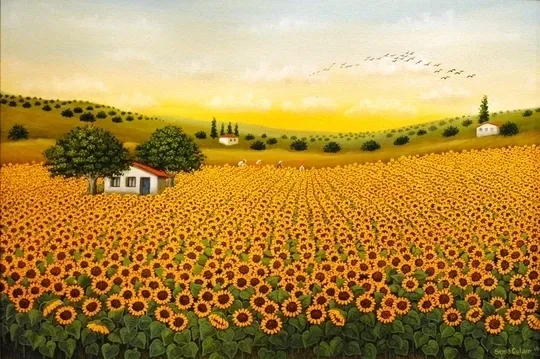 Sunflowers