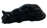 Gato a caçar ...