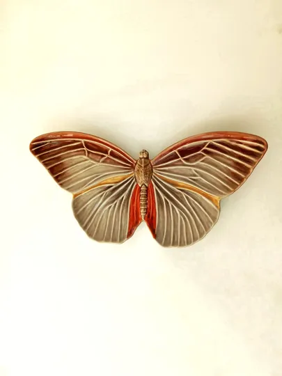 Cloudy Butterfly