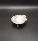 Shell - Concha