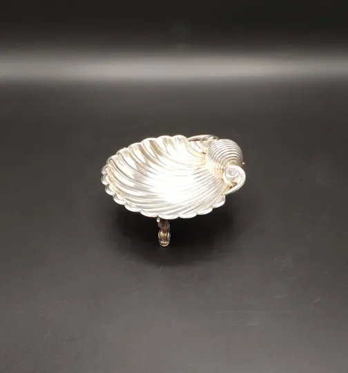 Shell - Concha