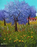 Albero viola