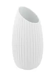 Jarra Shell W...