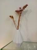 Jarra Pequena...